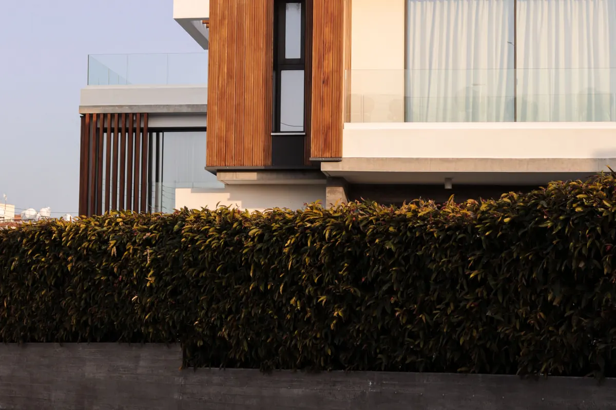 Representative elegant residential architecture